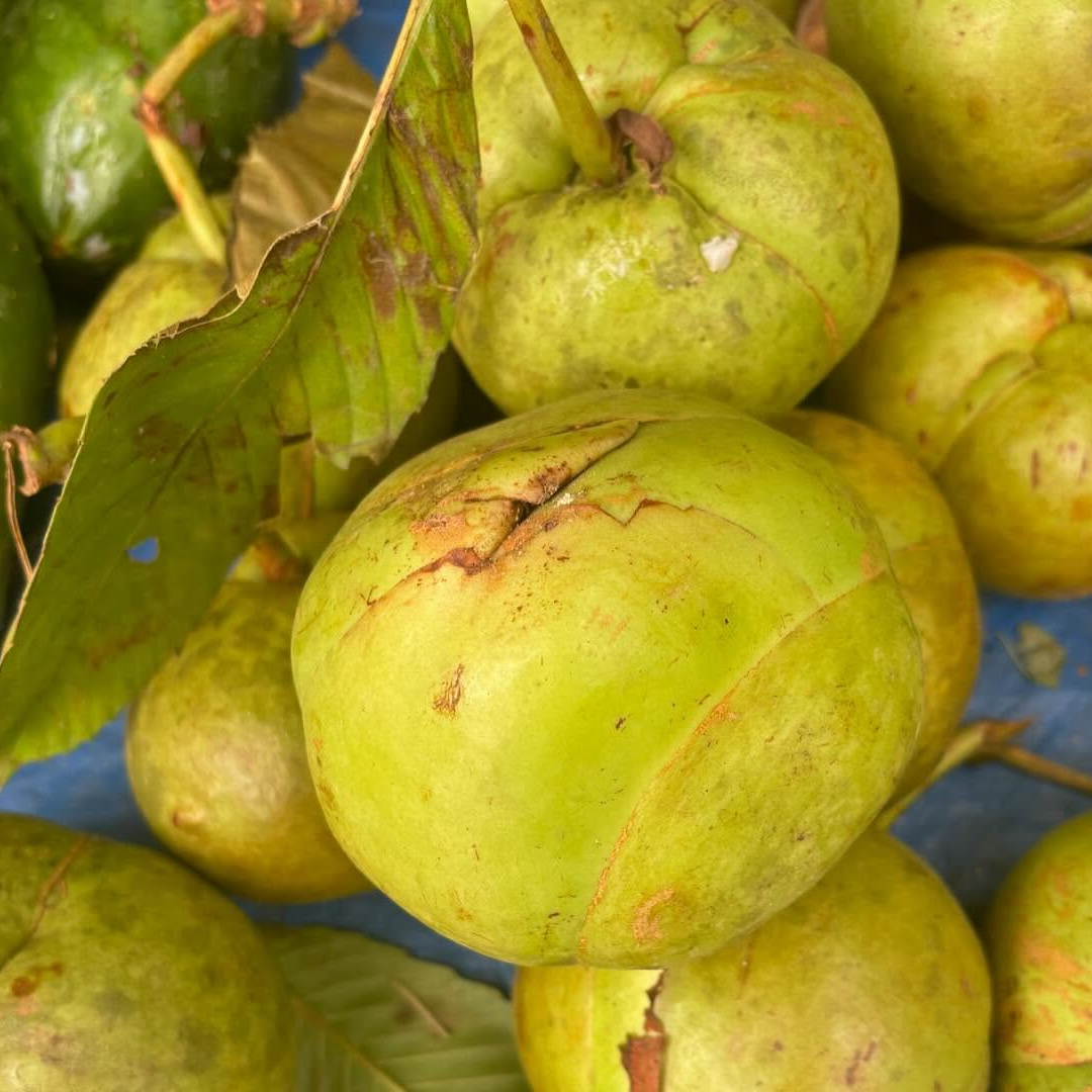 Otenga (ঔ টেঙা)